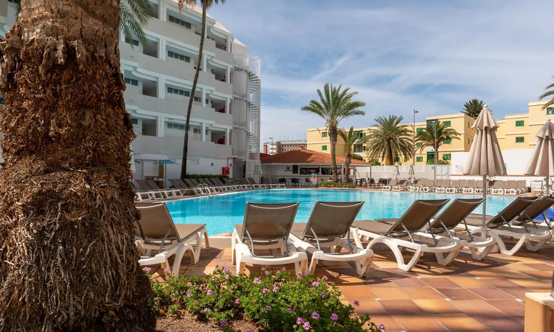 Beach Exclusive Apartment With Terrace - Pool View - Jacuzzi View San Bartolome de Tirajana   San Bartolome de Tirajana (Gran Canaria)